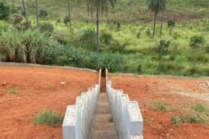 Imagem do WhatsApp de 2024-08-23 à(s) 13.29.51_9e310cfd Imagem do WhatsApp de 2024-08-23 à(s) 13.29.51_9e310cfd